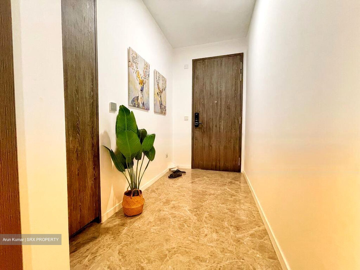 The M (D7), Apartment #483545641